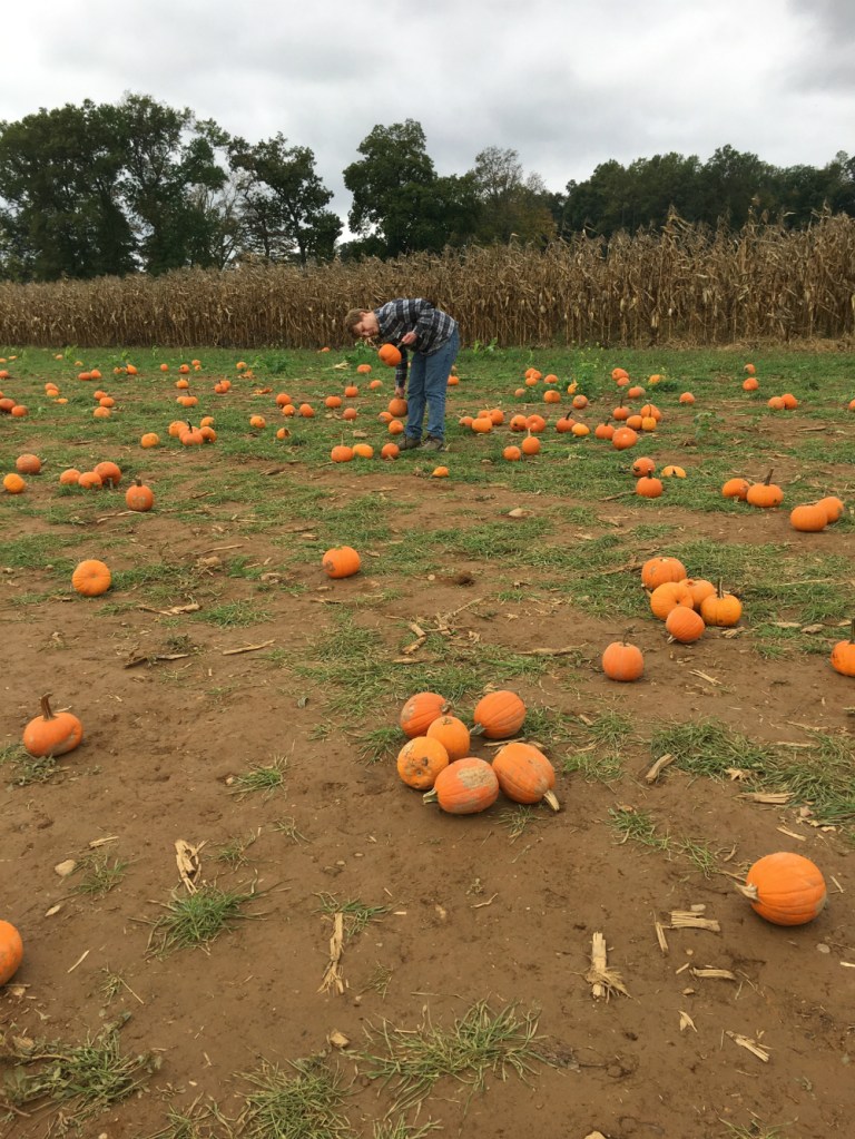 Family Pumpkin Picking, Wightman’s Farm, NJ – Caitlin Kenney Smith