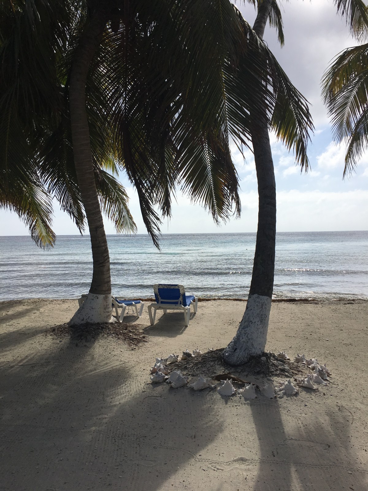 Snorkeling at Laughing Bird Caye. See our travel guide to 5 Days in Placencia, Belize at Turtle Inn