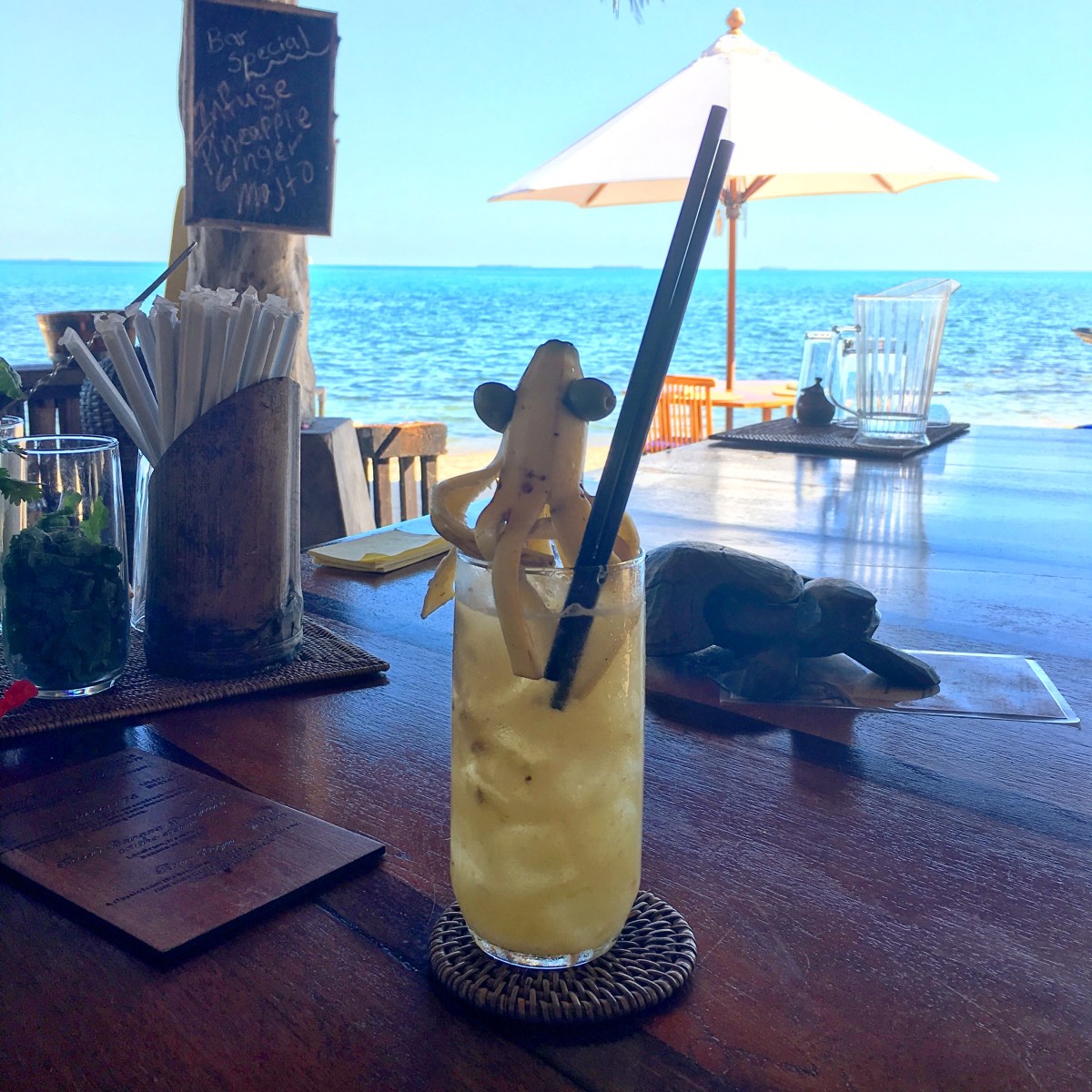 5 Days in Placencia, Belize at Turtle Inn