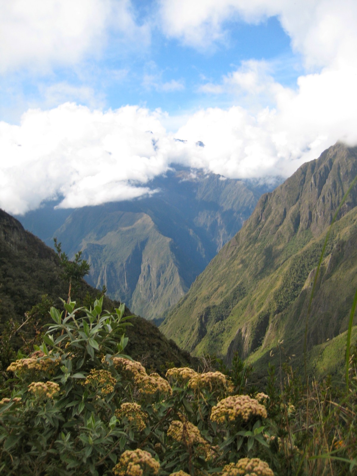 Guide to the Inca Trail, Machu Picchu, Peru