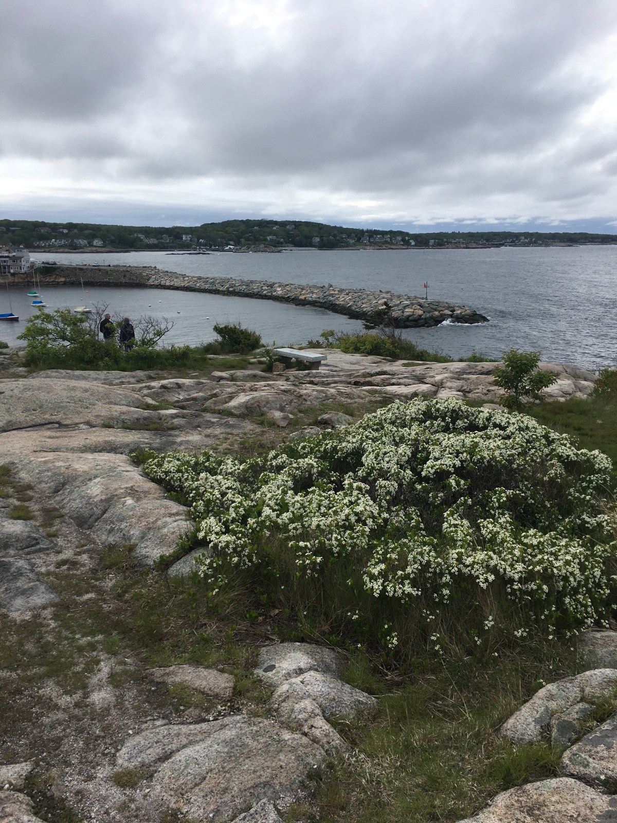 The Headlands, Rockport MA | Travel with Baby